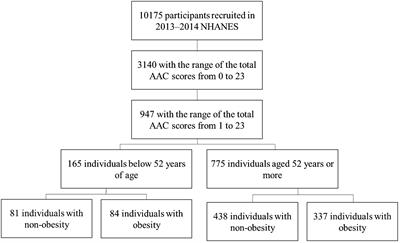 Age differences in the association of body mass index-defined obesity with abdominal aortic calcification